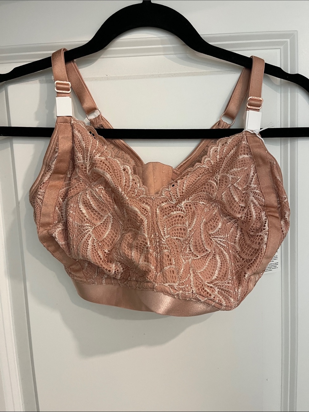 HOT MILK Bronze Lace Softcup Bra with Satin Trim